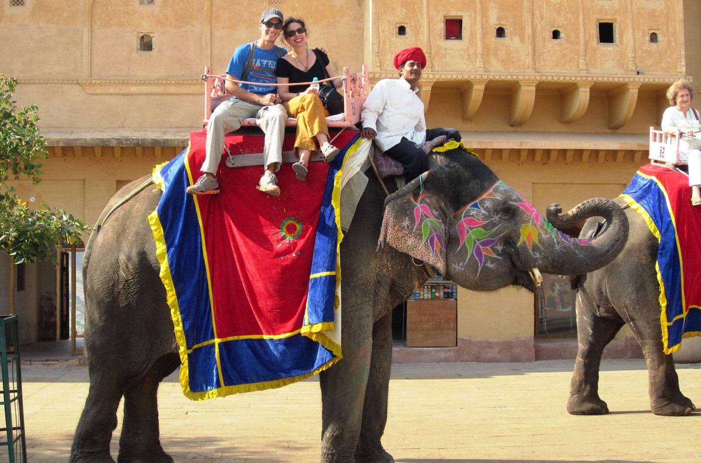 elephant-ride-in-jaipur