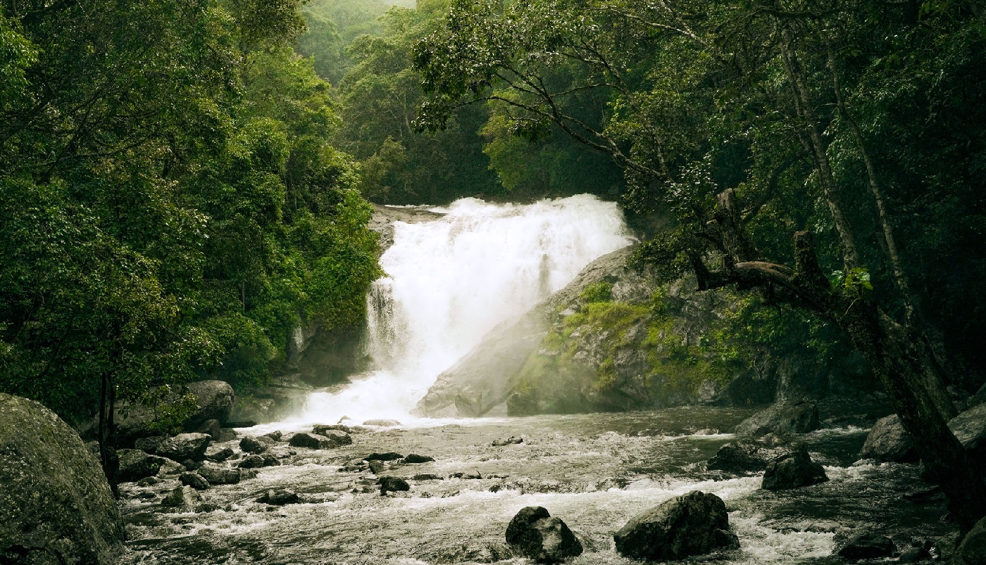 Attukal Waterfall