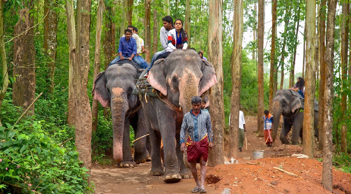 Carmelagiri Elephant Park