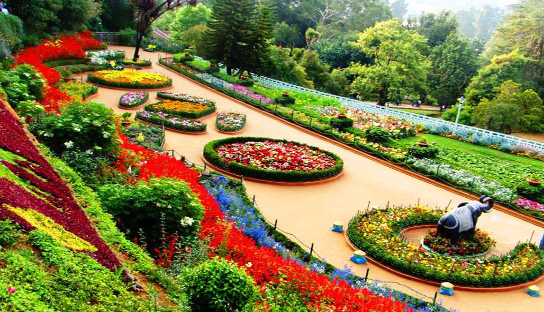 Ooty, Tamil Nadu