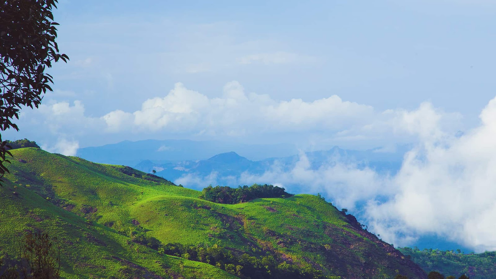 Wayanad